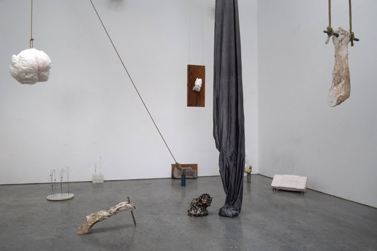 Javier Torras Casas extra image 1