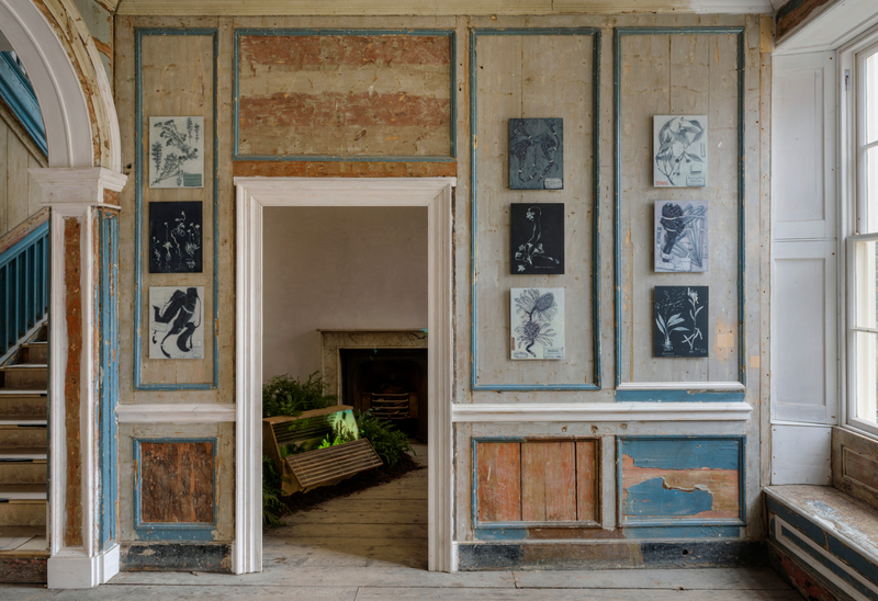 Marcia Teusink extra image 2
