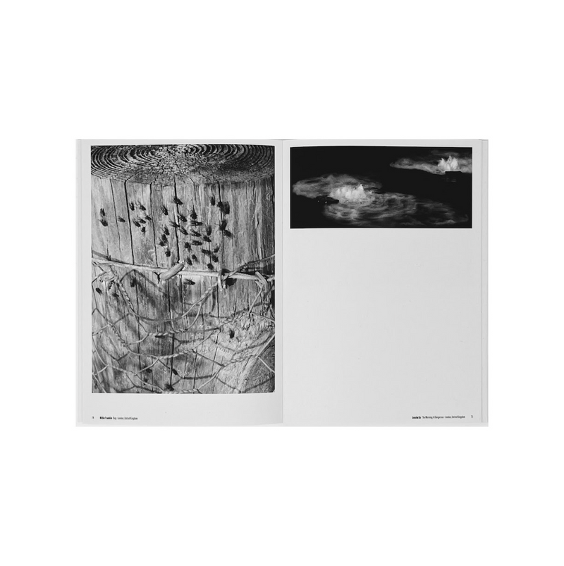 Junshu Gu extra image 2